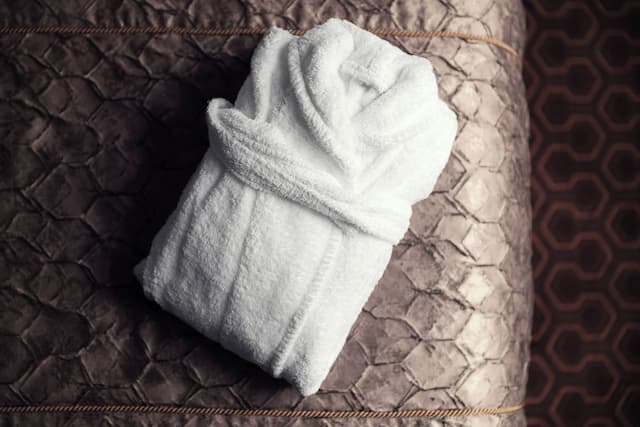 Cosmopolitan Hotel Prague-Deluxe Double or Twin Room-11