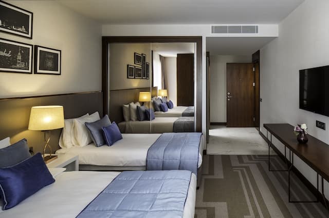 ライオネル ホテル イスタンブール-デラックス ダブルルーム-3