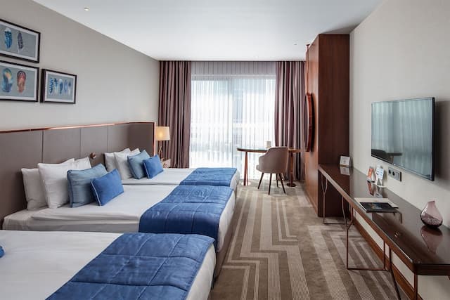 ライオネル ホテル イスタンブール-デラックス ダブルルーム-2