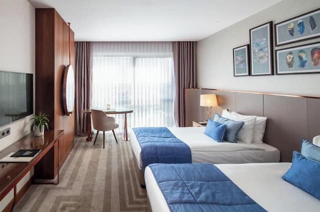 ライオネル ホテル イスタンブール-スーペリア ダブルルーム-5