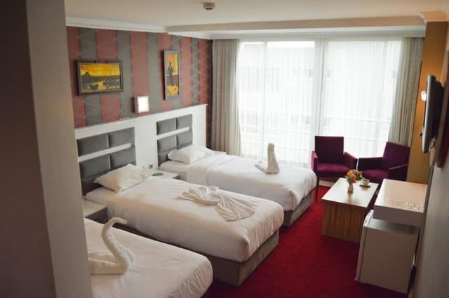 Comfort Downtown Istanbul-经济三人房-1