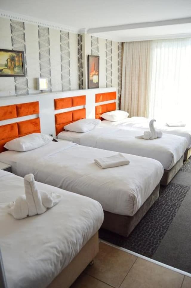 Comfort Downtown Istanbul-标准三人房-2