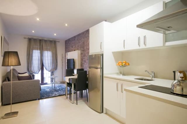 Apartments Ramblas 108-公寓, 1 间卧室-4