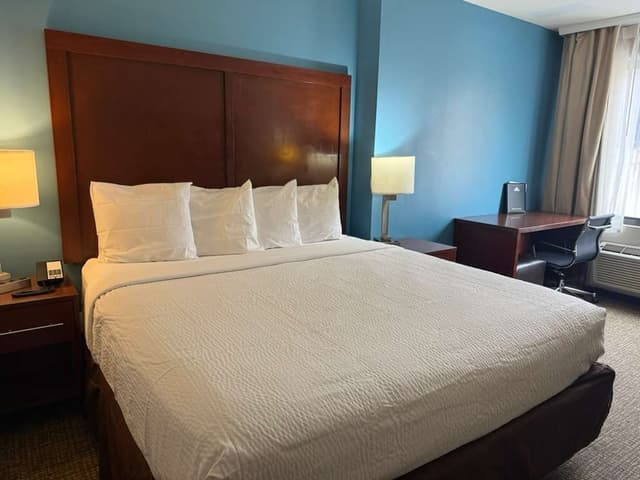 布魯克林馬林公園溫德姆戴斯酒店-客房, 1 張特大雙人床, 非吸煙房-1