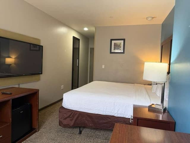 布魯克林馬林公園溫德姆戴斯酒店-客房, 1 張特大雙人床, 非吸煙房-3