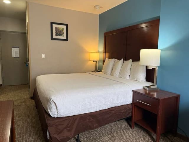 布魯克林馬林公園溫德姆戴斯酒店-客房, 1 張特大雙人床, 非吸煙房-5