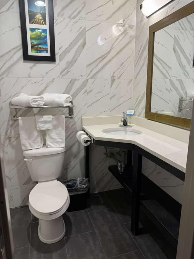 布魯克林馬林公園溫德姆戴斯酒店-客房, 1 張加大雙人床, 非吸煙房-4