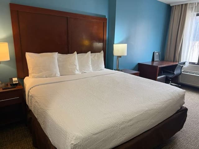 布魯克林馬林公園溫德姆戴斯酒店-客房, 1 張特大雙人床, 非吸煙房-4