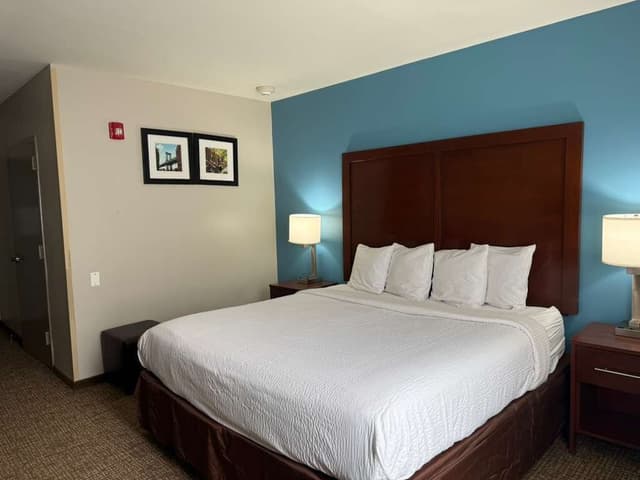 布魯克林馬林公園溫德姆戴斯酒店-客房, 1 張特大雙人床, 無障礙, 非吸煙房 (Bathtub)-1