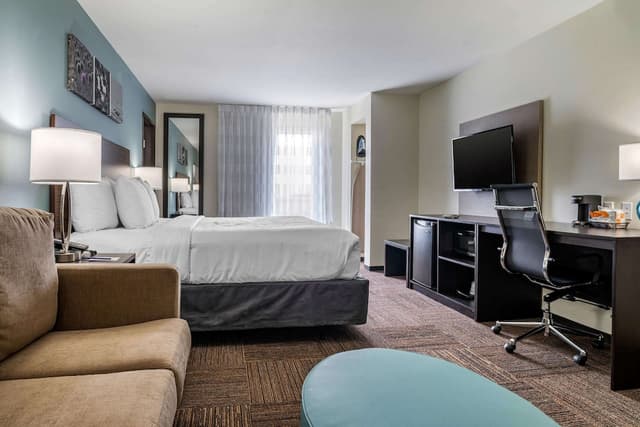 Sleep Inn & Suites near Westchase-套房, 1 张特大床, 无烟房-4