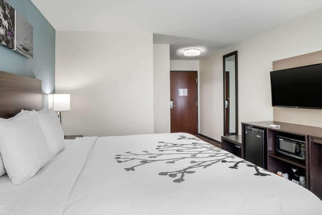 Sleep Inn & Suites near Westchase-标准房, 1 张特大床, 无烟房, 浴缸-5