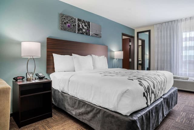 Sleep Inn & Suites near Westchase-套房, 1 张特大床, 无障碍, 无烟房-1