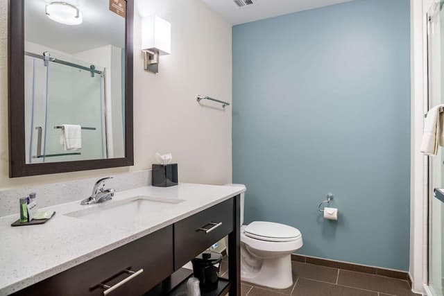 Sleep Inn & Suites near Westchase-标准房, 1 张特大床, 无烟房-5