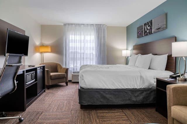 Sleep Inn & Suites near Westchase-客房, 1 张特大床, 无障碍, 无烟房-3