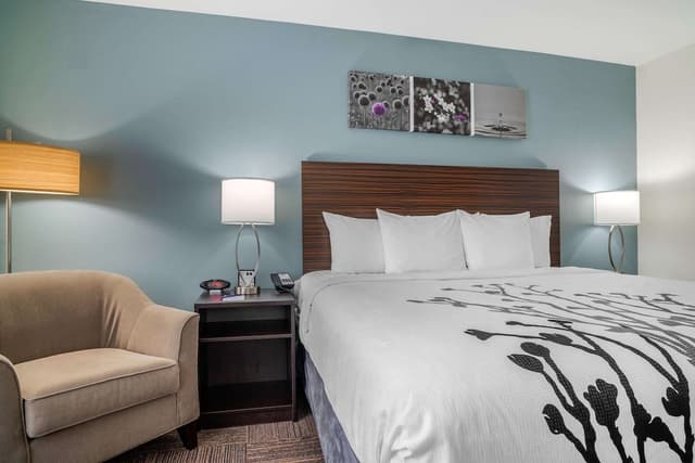 Sleep Inn & Suites near Westchase-客房, 1 张特大床, 无障碍, 无烟房-2