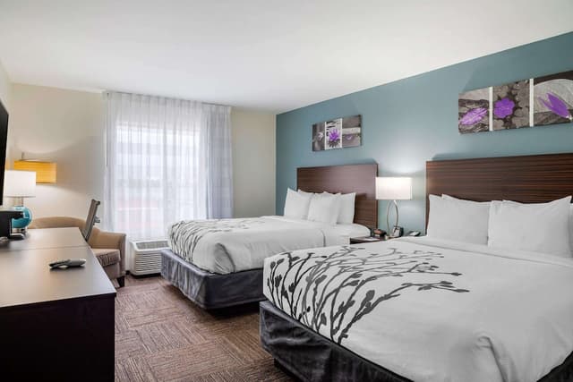 Sleep Inn & Suites near Westchase-标准房, 2 张大床, 无烟房-3
