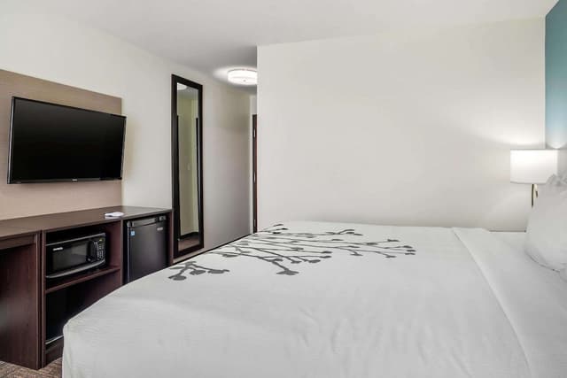 Sleep Inn & Suites near Westchase-标准房, 1 张特大床, 无烟房-2