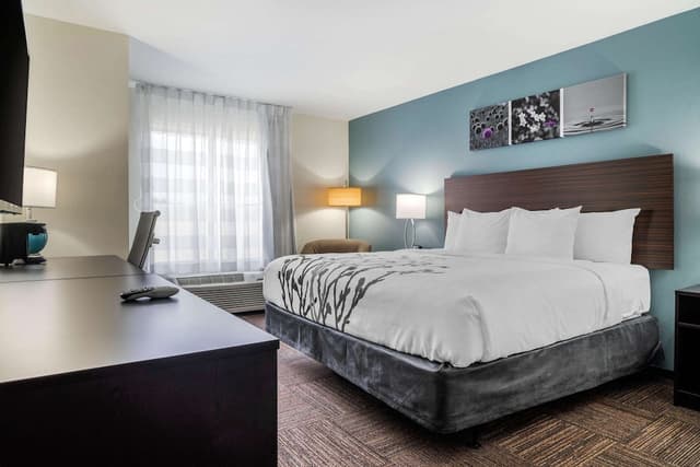 Sleep Inn & Suites near Westchase-标准房, 1 张特大床, 无烟房-4