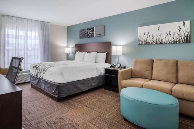 Sleep Inn & Suites near Westchase-套房, 1 张特大床, 无烟房-7