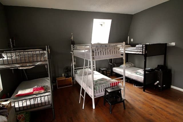 ザ パークデール オステルリー-エコノミー 共同ドミトリー 男女共用ドミトリー-1