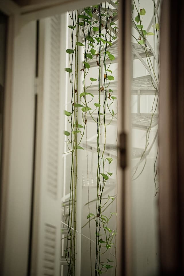 ザ ジラーズ アテネ ブティック ホテル-Standard Double Room (Interior Corridor)-5