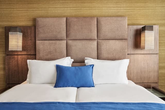 Arion Athens Hotel-Superior Room, Balcony (Acropolis View)-4