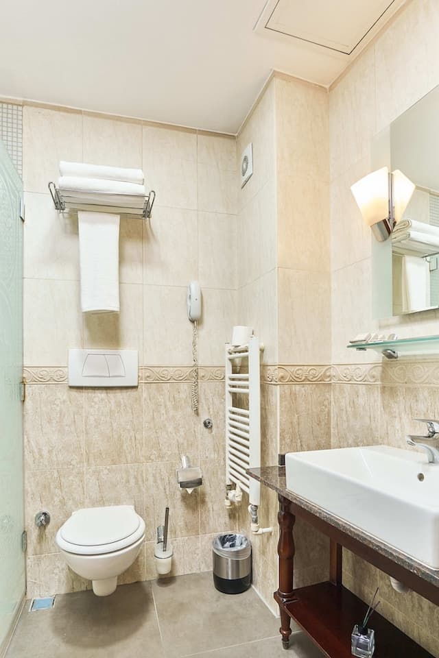 貝斯特韋斯特帝國皇宮飯店及 Spa - 特級-標準客房, 多張床, 非吸煙房-12