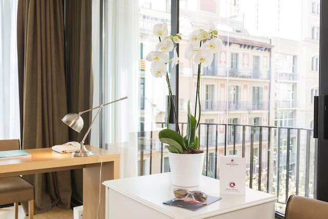 Guitart Grand Passage-舒适双人房（单人入住）-3