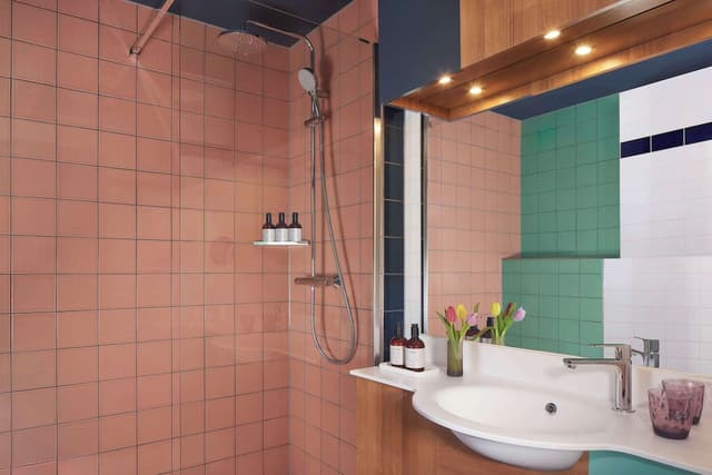 阿姆斯特丹 Avani 博物館區飯店 (前稱 NH 阿姆斯特丹博物館區)-標準客房-3