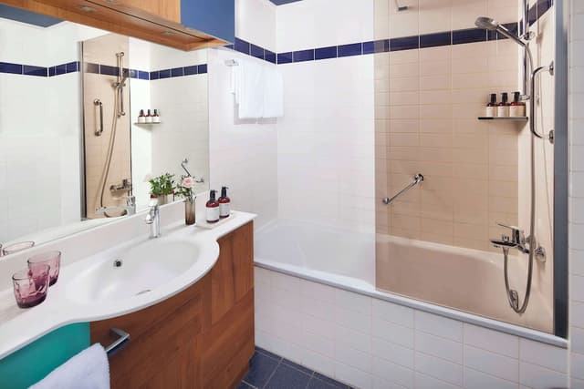 阿姆斯特丹 Avani 博物館區飯店 (前稱 NH 阿姆斯特丹博物館區)-標準客房-4