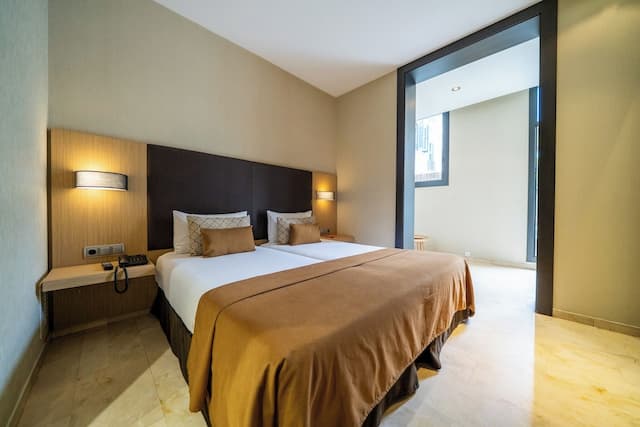 康斯坦茨酒店-高級雙床房-2