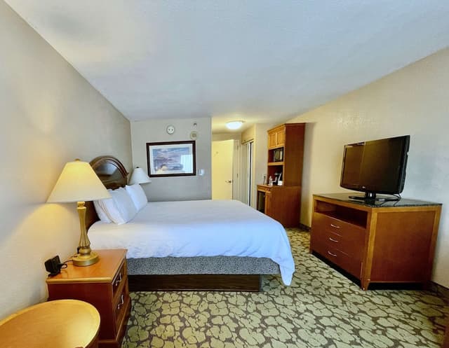 ACP Hotel Houston Westchase, MOD Collection by Sonesta-Room, 1 King Bed-1