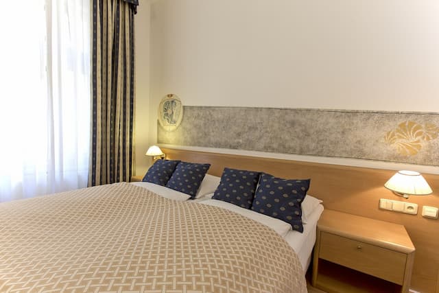 ホテル チボリ プラハ-スタンダード ダブルルーム-4