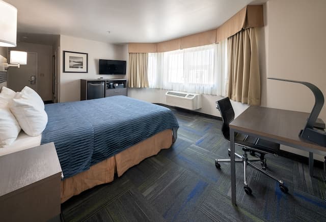 Buena Vista Motor Inn-标准房, 1 张特大床, 无障碍-1