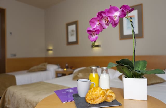 維多利亞四號飯店-都會三人房-9