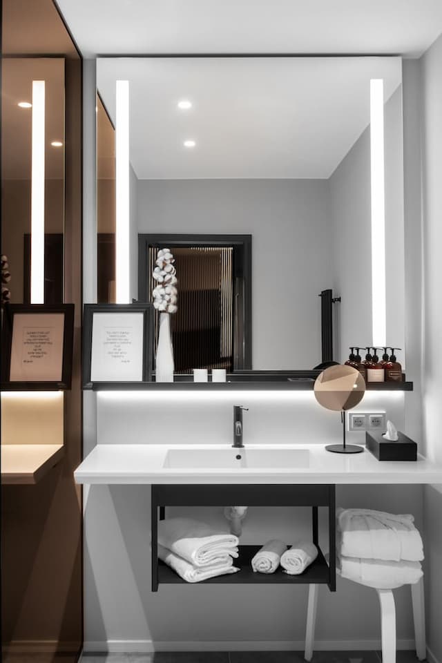 THE MANES ブティックホテルプラハ-スタンダード ルーム 禁煙-8