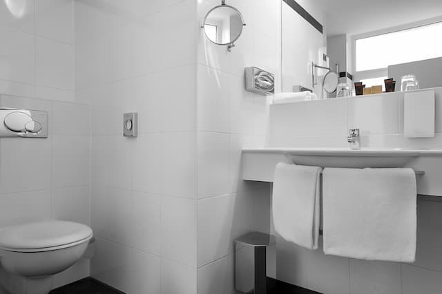 Grand Hotel Downtown-Business Double or Twin Room-4