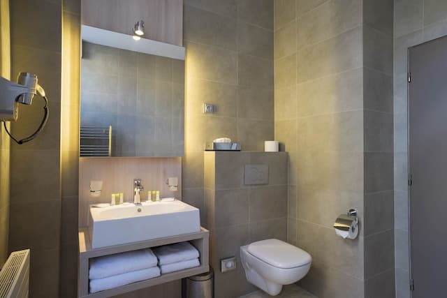 布拉格帕特羅恩坎帕公園飯店-尊榮雙人房 (Kampa room)-5