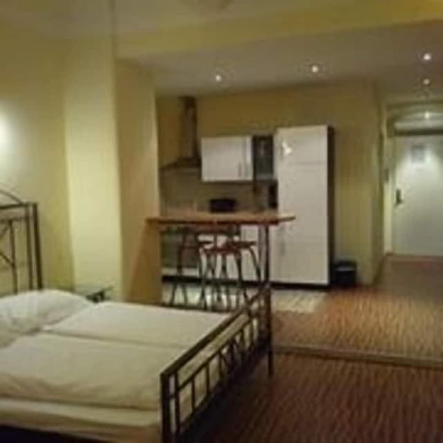 ホテル ペンション エクセレンス-スタンダード アパートメント 1 ベッドルーム キッチン-2