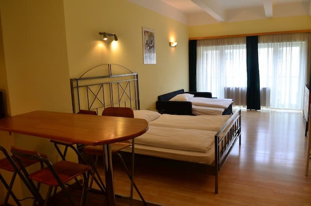 ホテル ペンション エクセレンス-エグゼクティブ アパートメント キングベッド 1 台ソファーベッド付き キッチン-1