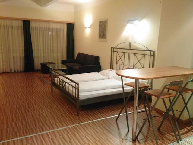 ホテル ペンション エクセレンス-スタンダード アパートメント 1 ベッドルーム キッチン-1