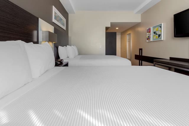 베스트 웨스턴 플러스 브루클린 베이 호텔-스탠다드룸, 퀸사이즈침대 2개, 장애인 지원, 금연-1