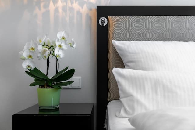 Hotel an der Oper-Superior Double Room-2