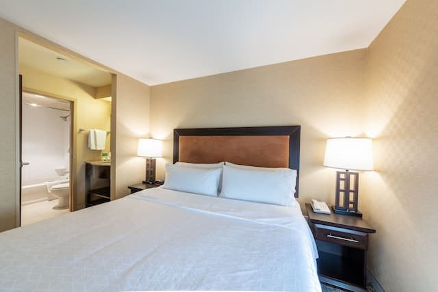 里弗波特里士滿智選假日套房飯店 - IHG 旗下飯店-套房, 1 張特大雙人床-3