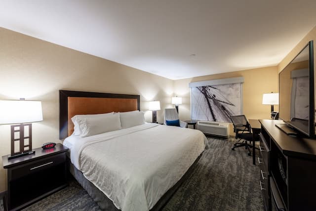 里弗波特里士滿智選假日套房飯店 - IHG 旗下飯店-標準客房, 1 張特大雙人床-1