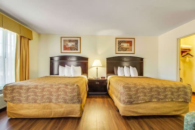 德克薩斯醫學中心/信託公園主流套房-套房, 2 張加大雙人床, 非吸煙房-1