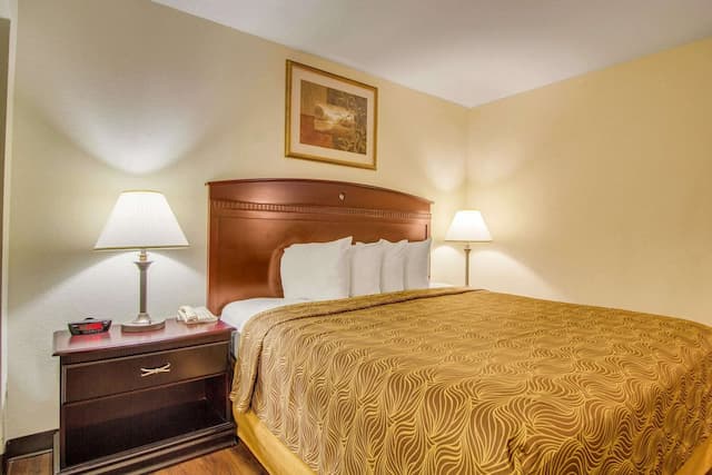 德克薩斯醫學中心/信託公園主流套房-套房, 1 張加大雙人床和 1 張沙發床, 非吸煙房-2