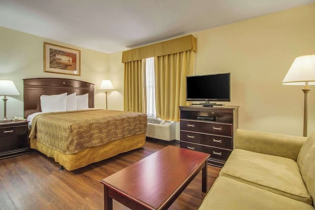 德克薩斯醫學中心/信託公園主流套房-套房, 1 張加大雙人床和 1 張沙發床, 非吸煙房-1