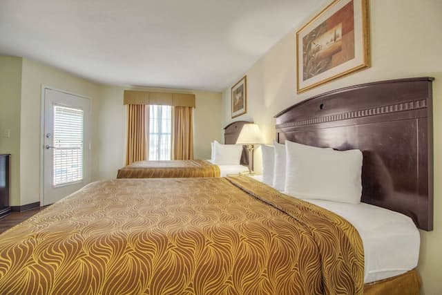 德克薩斯醫學中心/信託公園主流套房-套房, 2 張加大雙人床, 非吸煙房-2