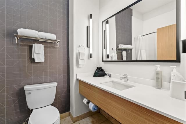 스파크 바이 힐튼 휴스턴 하비 공항-룸, 킹사이즈침대 1개, 장애인 지원 (Mobility & Hearing, Roll-in Shower)-7